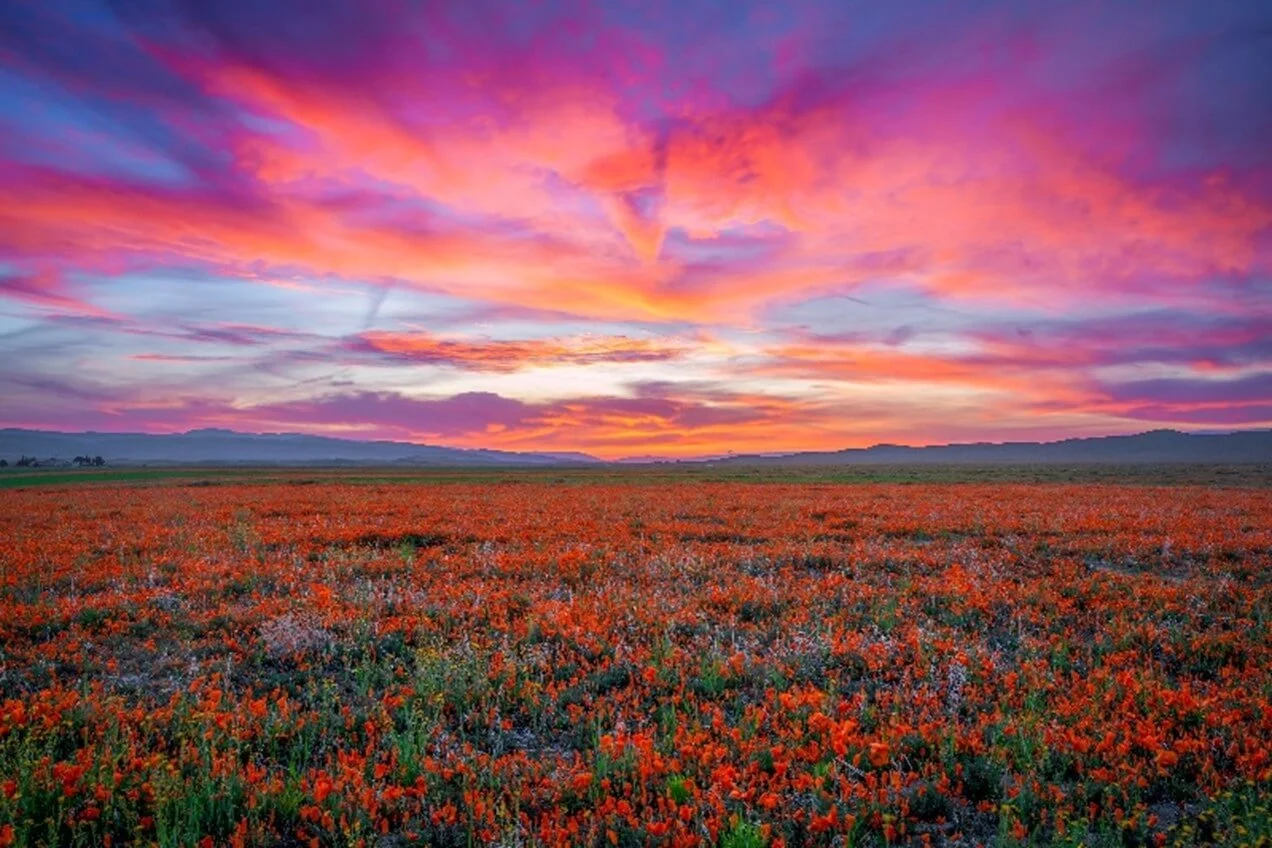 The Unique and Transformative Impact of Art Therapy