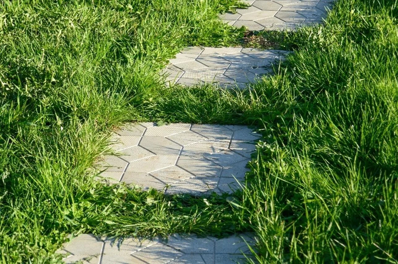 Grass and steps