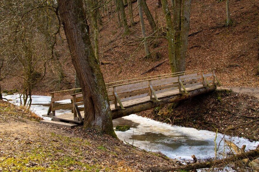 Bridge in the woods