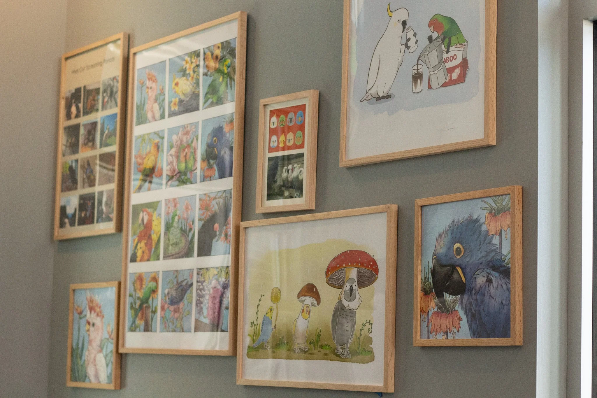 A collection of colorful parrot and bird art on the walls of the cafe.