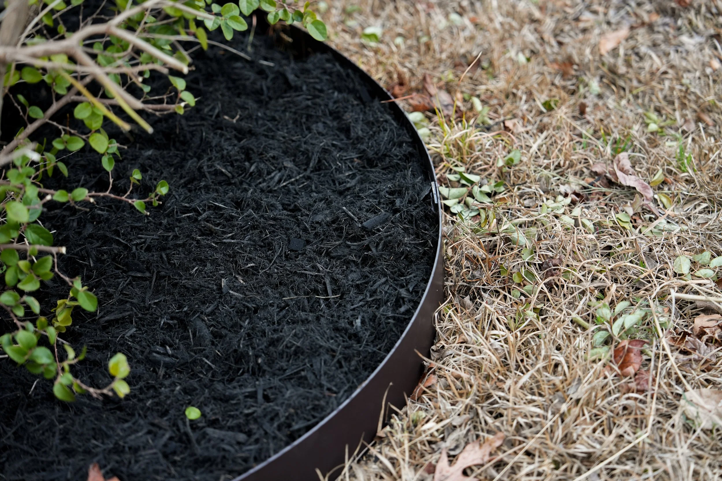 A black circular garden bed border with dark soil inside, bordered by dry grass and small green plants.