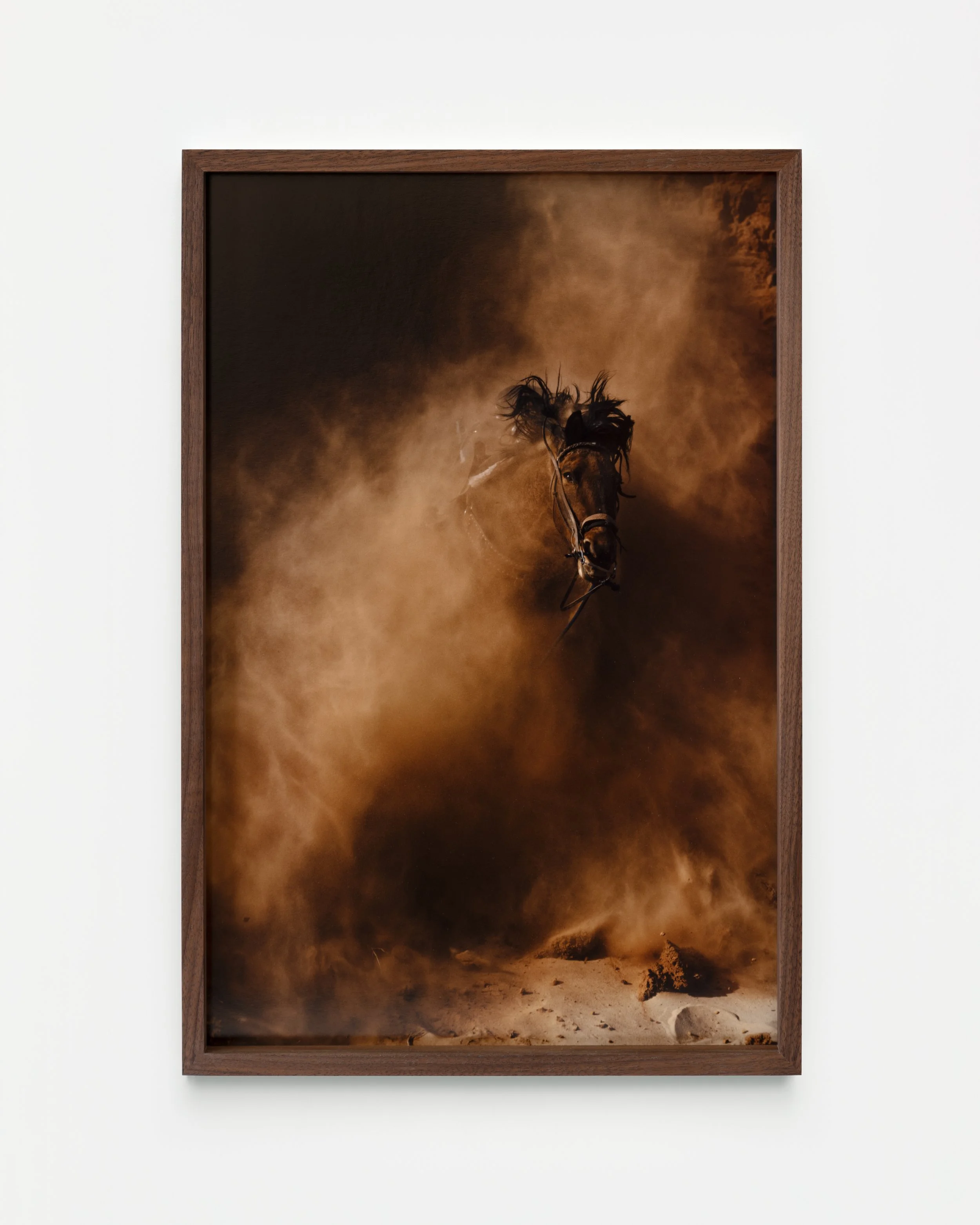 Sea View - Jim Mangan - _DSF7566-Edit_Med_Res.jpg