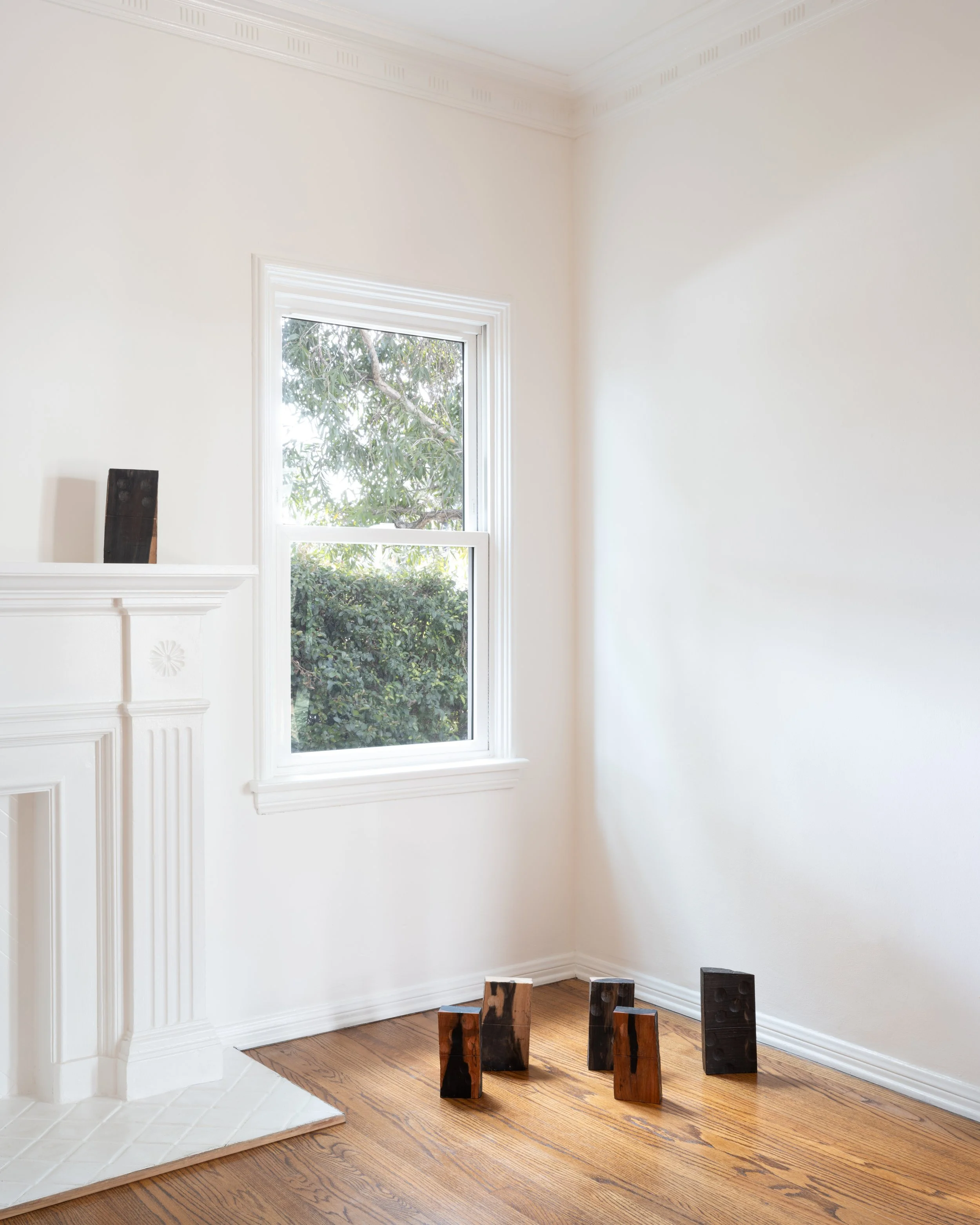 Zenobia Lee "Story Book I-VI," 2026 Hand carved ebony
Dimensions variable