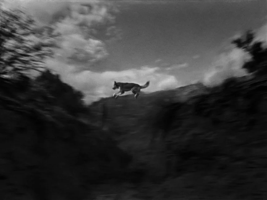 EDIT 1.00_16_30_15.Still065.jpg