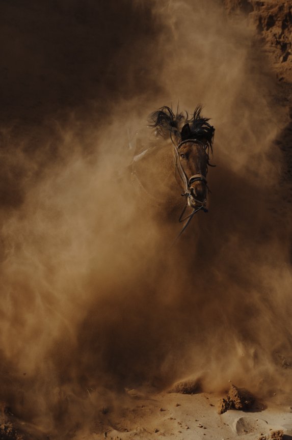 Jim Mangan, "Untitled #6", The Crick, 2020. Archival pigment, print, walnut frame, museum glass, 20 x 13 1/4 in (51 x 34 cm)