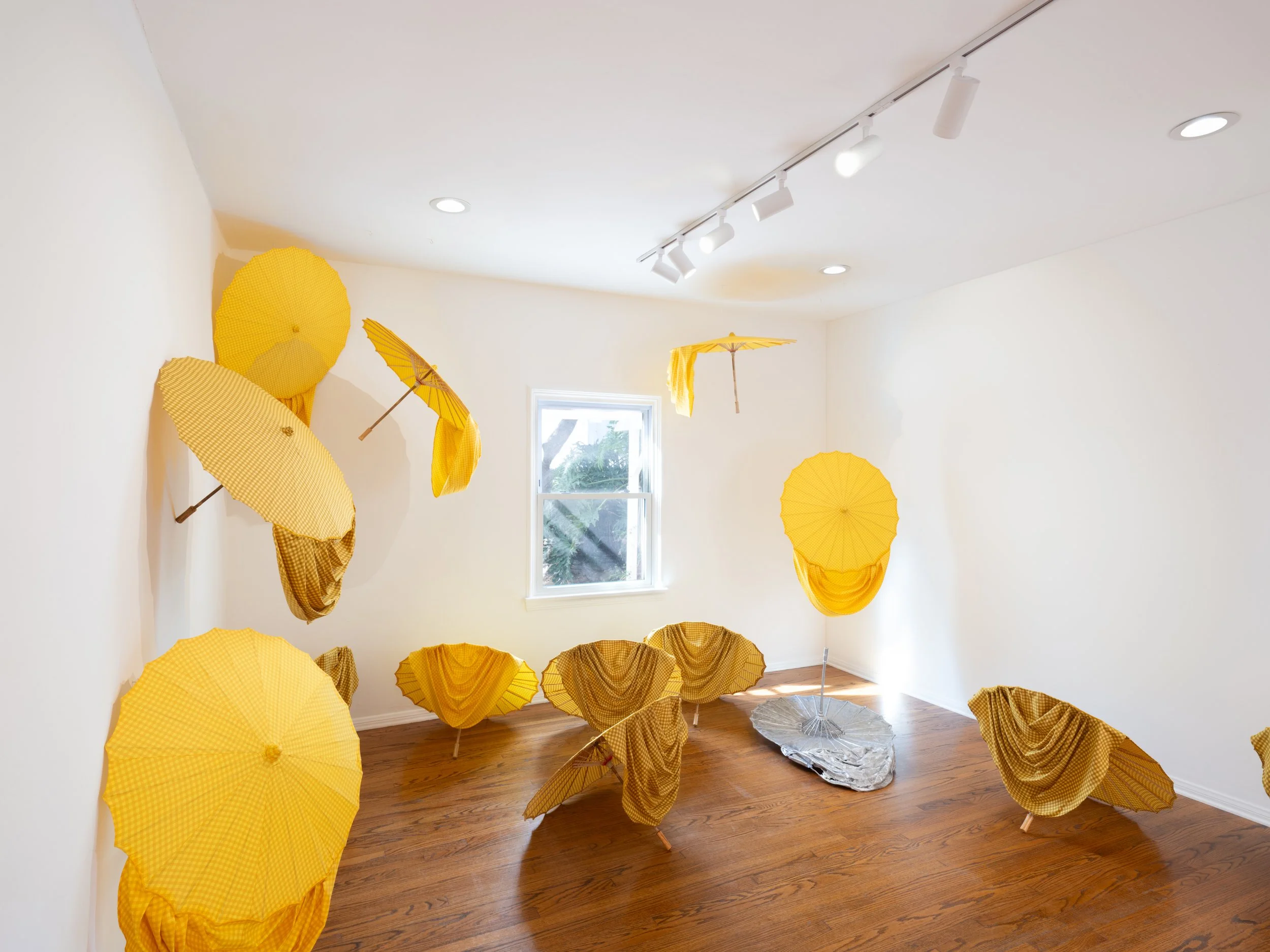 Installation view, "My Father have a house up on one post," 2025