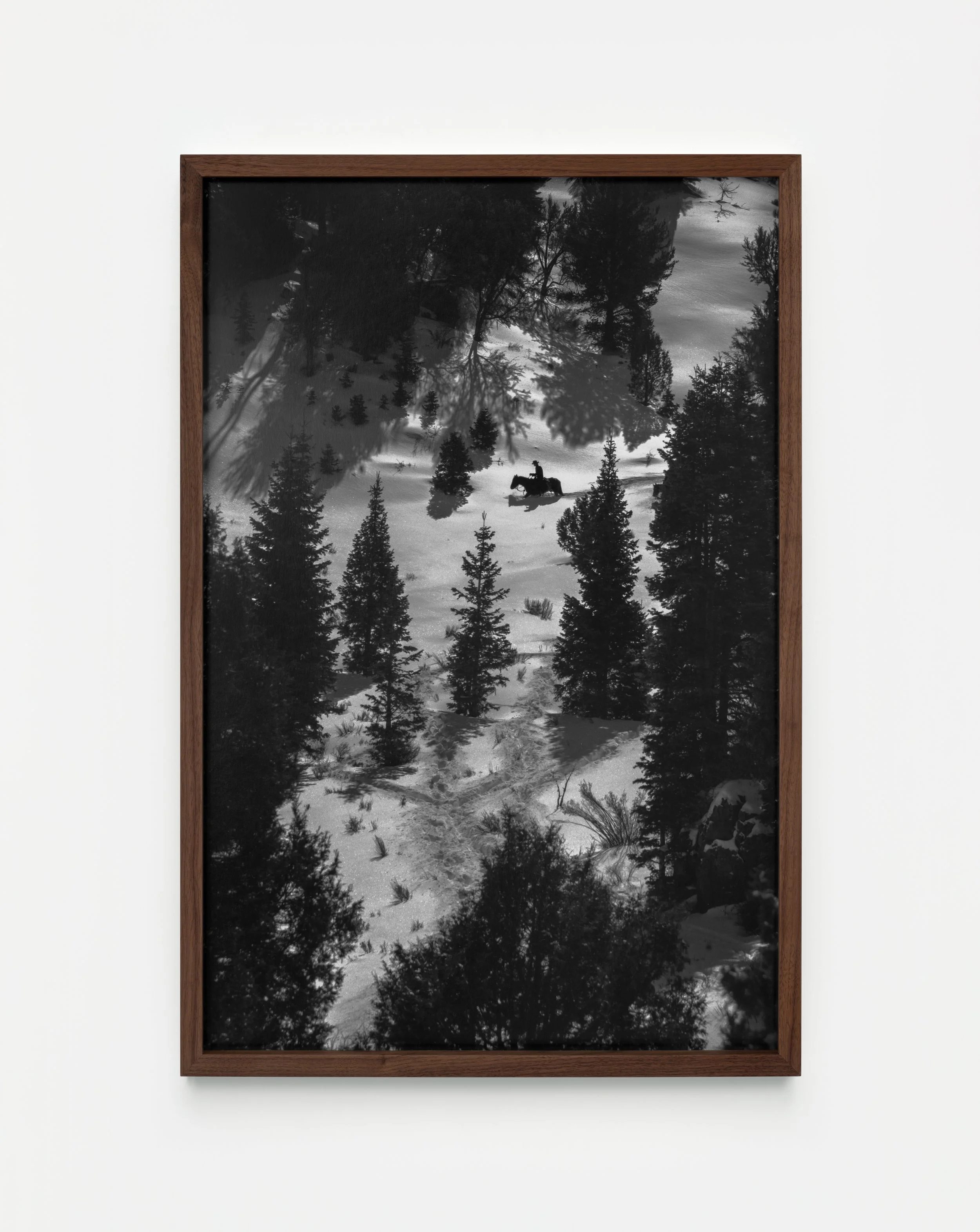 Sea View - Jim Mangan - _DSF7572-Edit_Med_Res.jpg