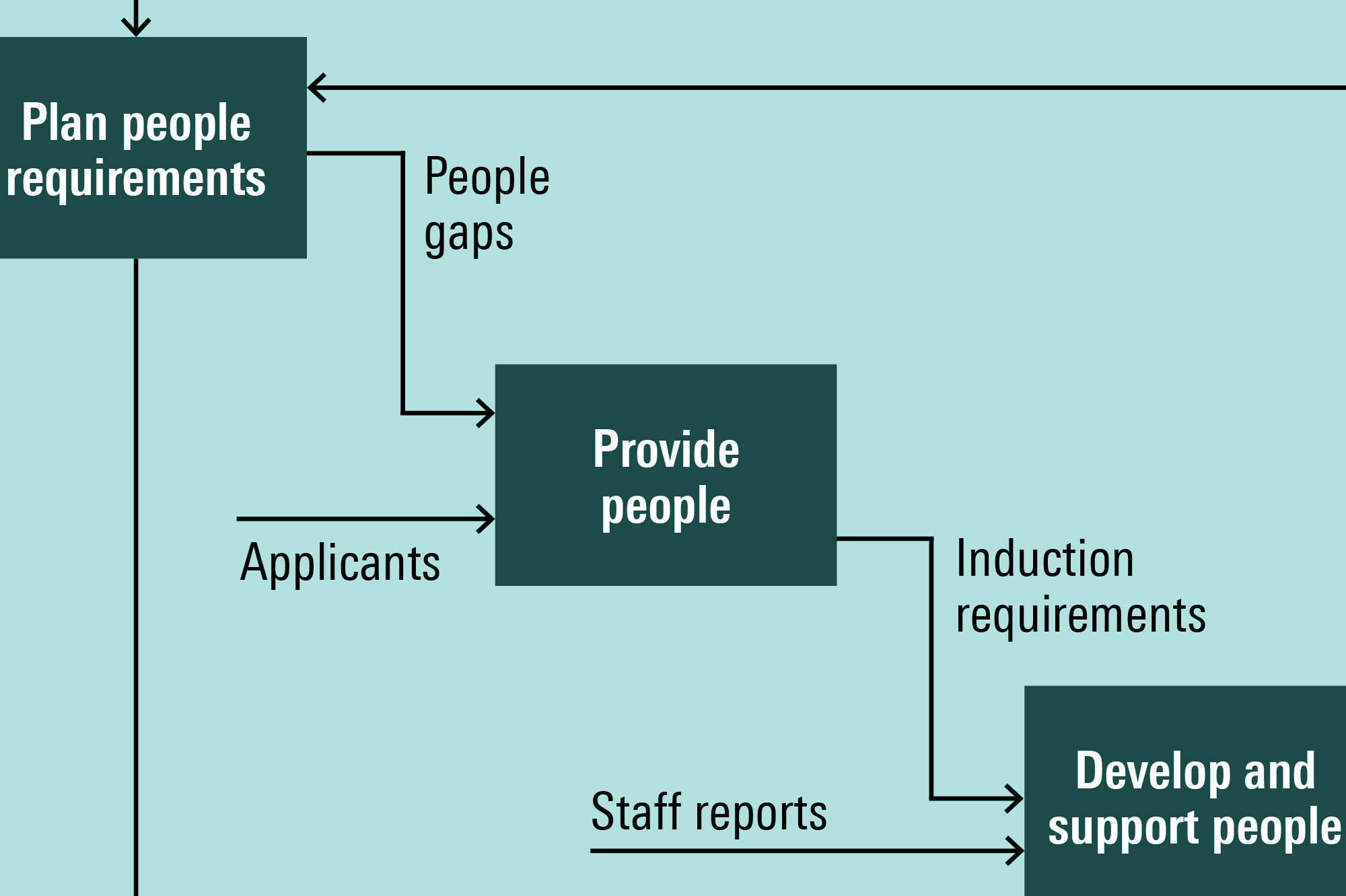Human Resources function process