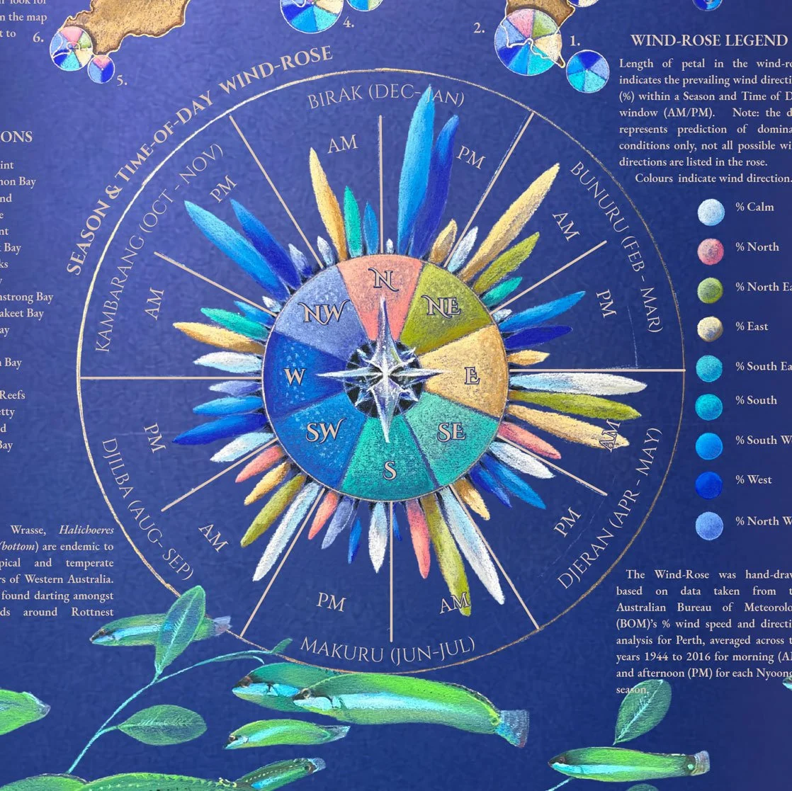 Rottnest-Wind-Driven-Freediving-Snorkelling-Guide2.jpg