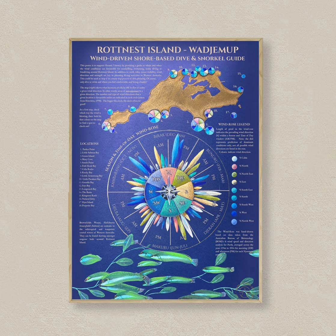 Rottnest-Wind-Driven-Freediving-Snorkelling-Guide.jpg