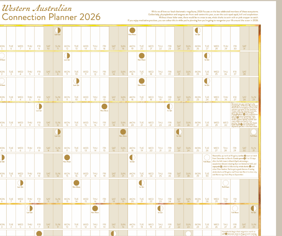 Marine Connection planners 2026 for website _colour closeup 2.png