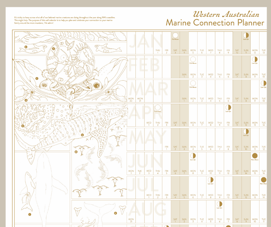 Marine Connection planners 2026 for website - uncoloured closeup 1-2.png