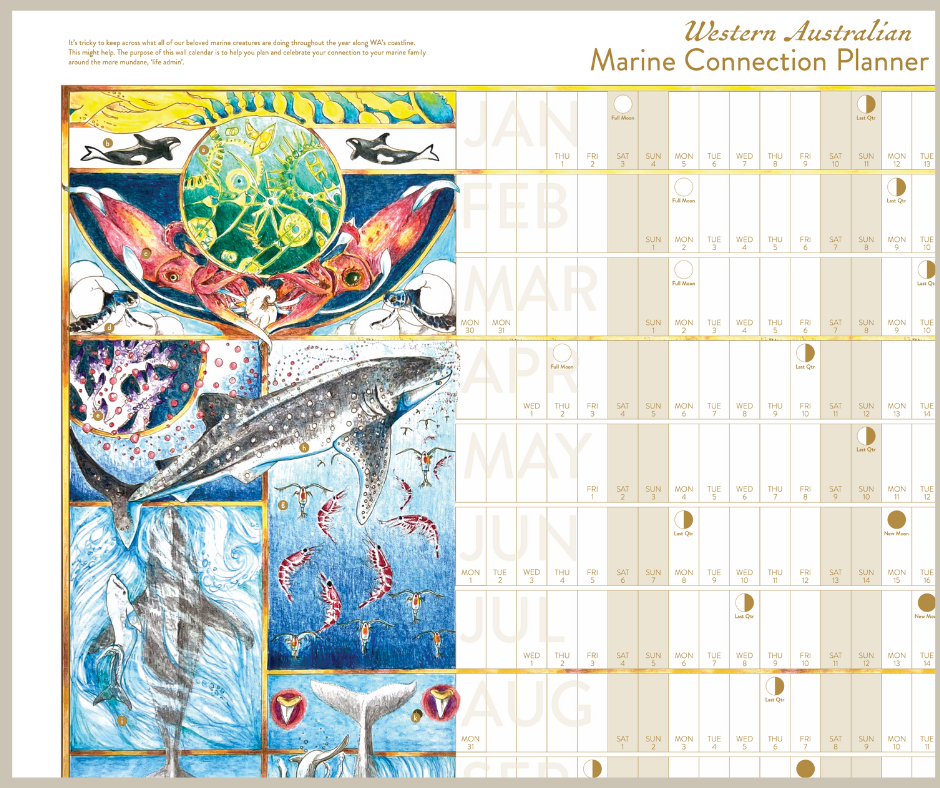 Marine Connection planners 2026 for website _colour closeup 1.png