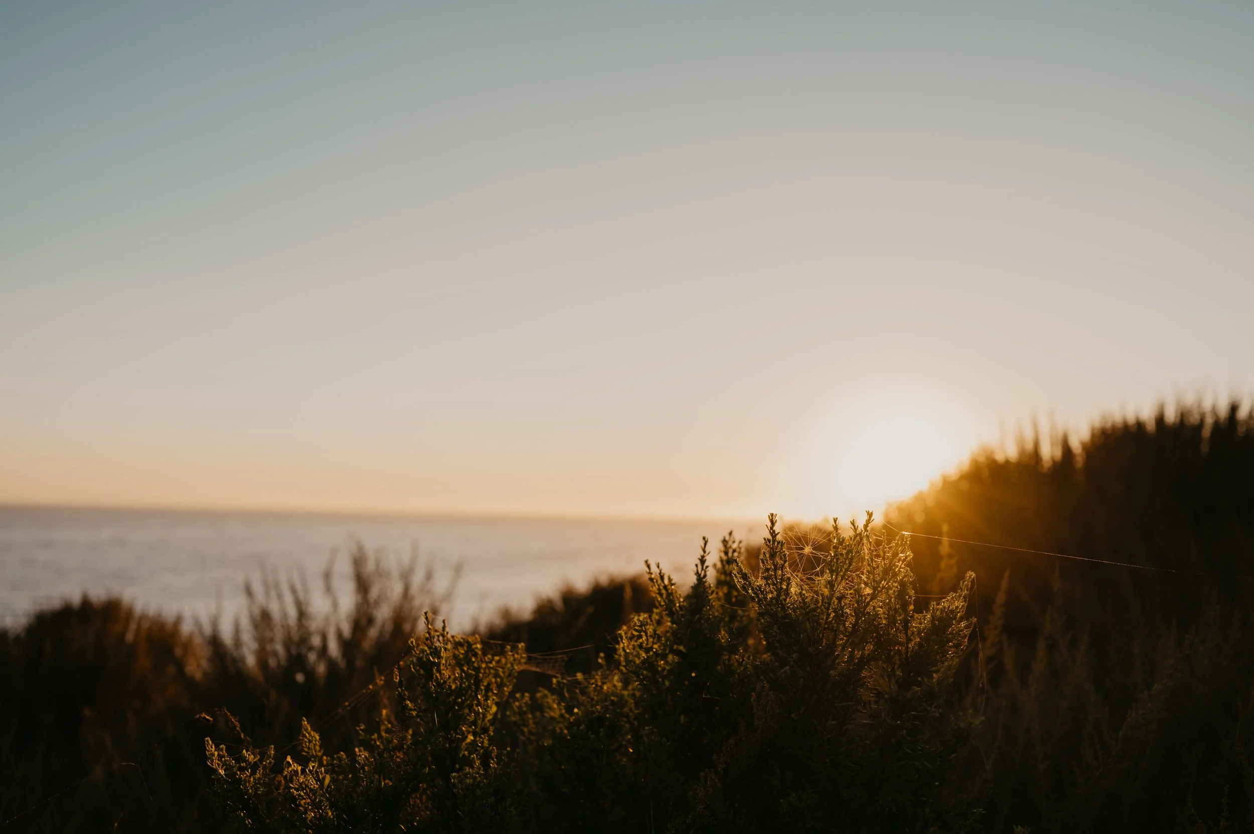 Sunset proposal at Crystal Cove state park, Southern Californa