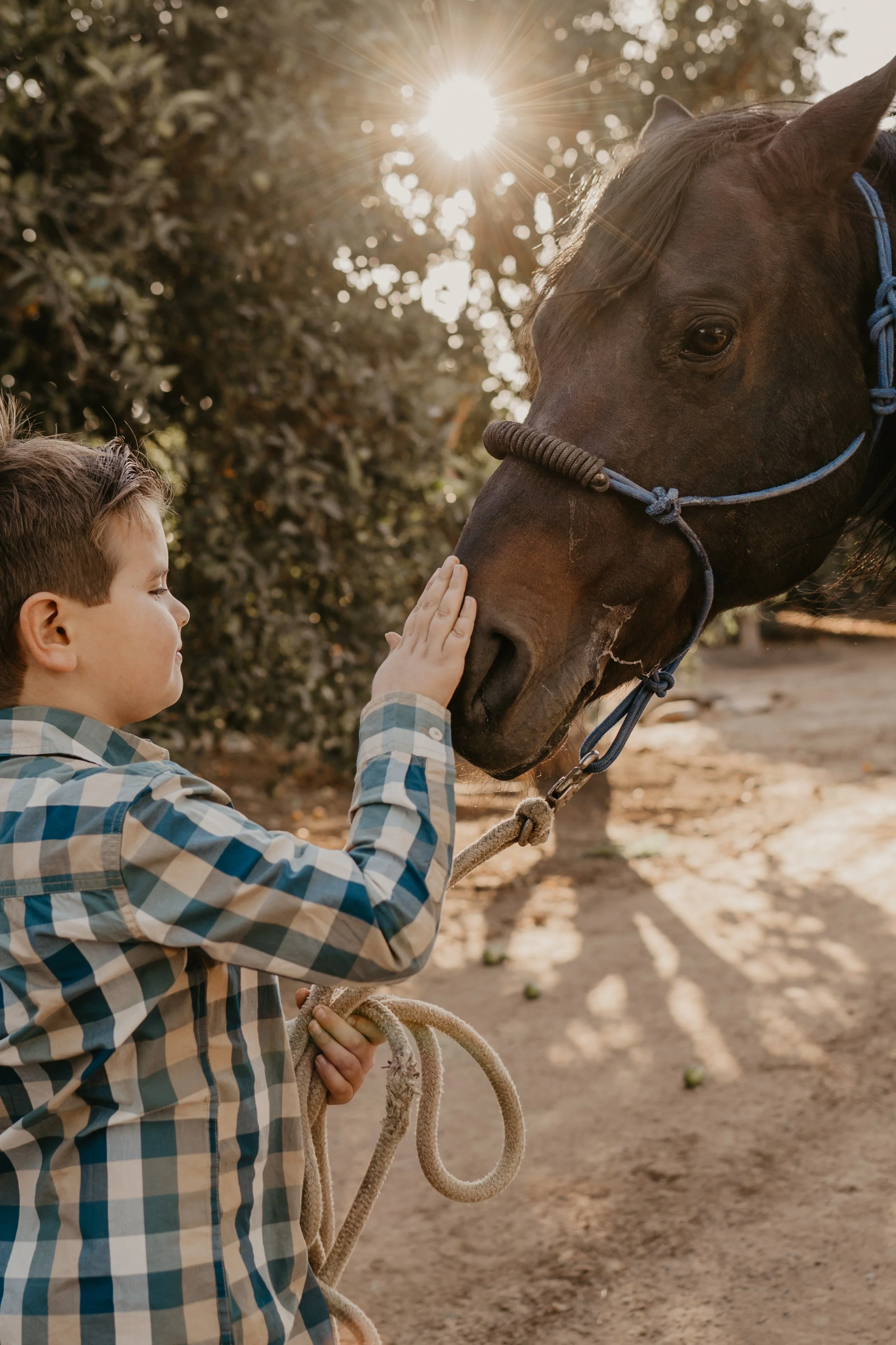 Child and Horse Poses  | Perris, California
