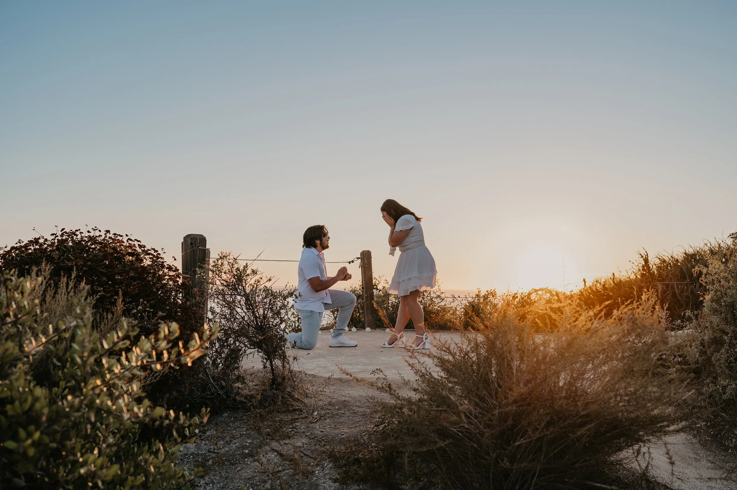 A surprise proposal at sunset on a cliff at Crystal Cove State Park, with twinkling lights and a stunning ocean view.