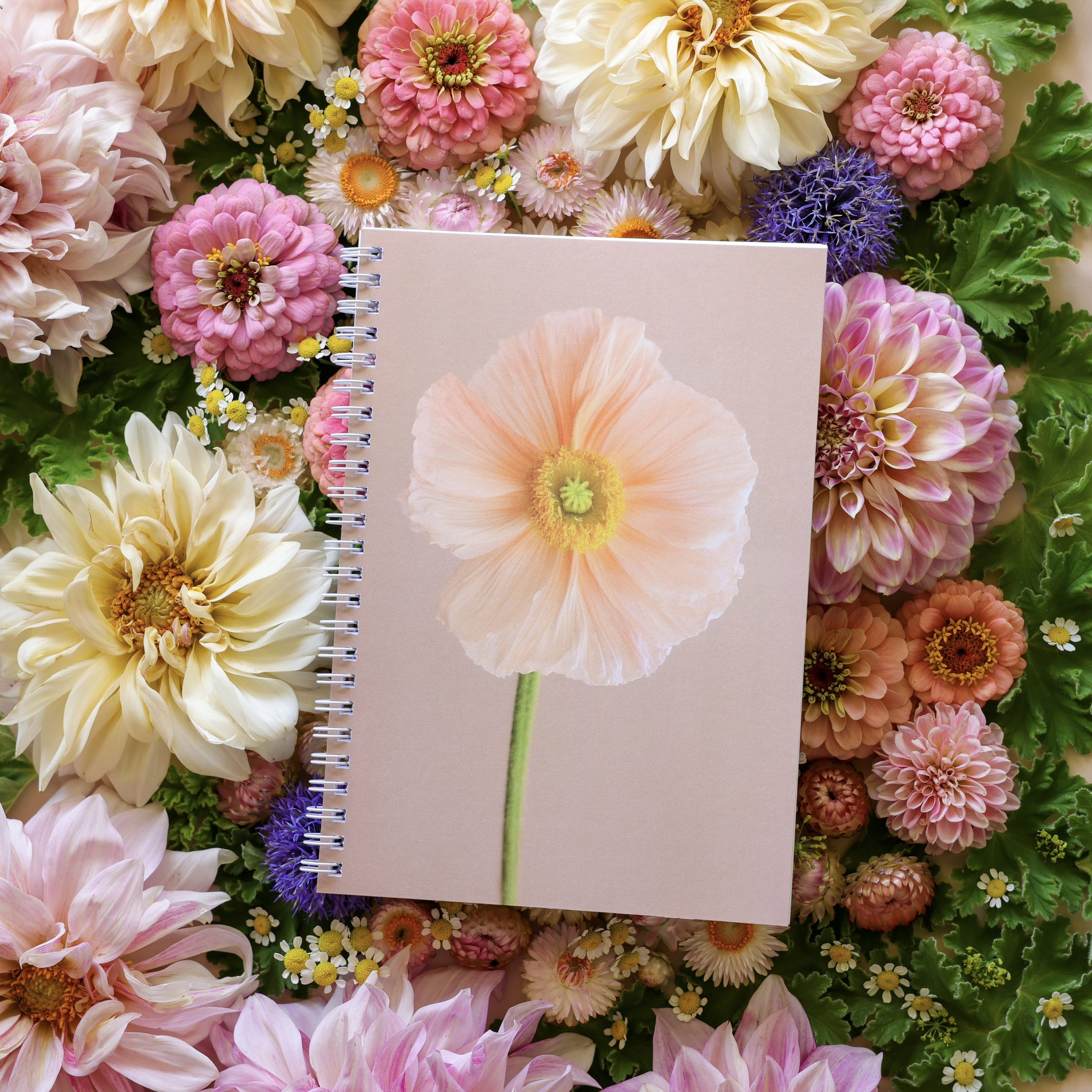 Poppy A5 Lined Note Pads