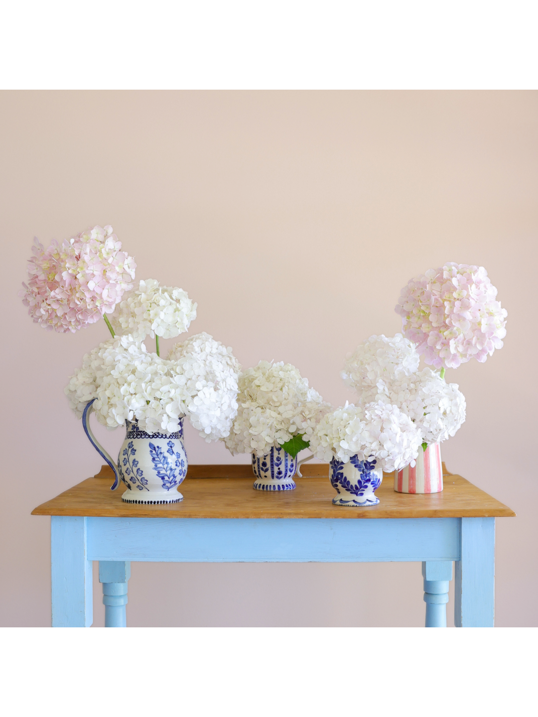 Hydrangeas on blue table