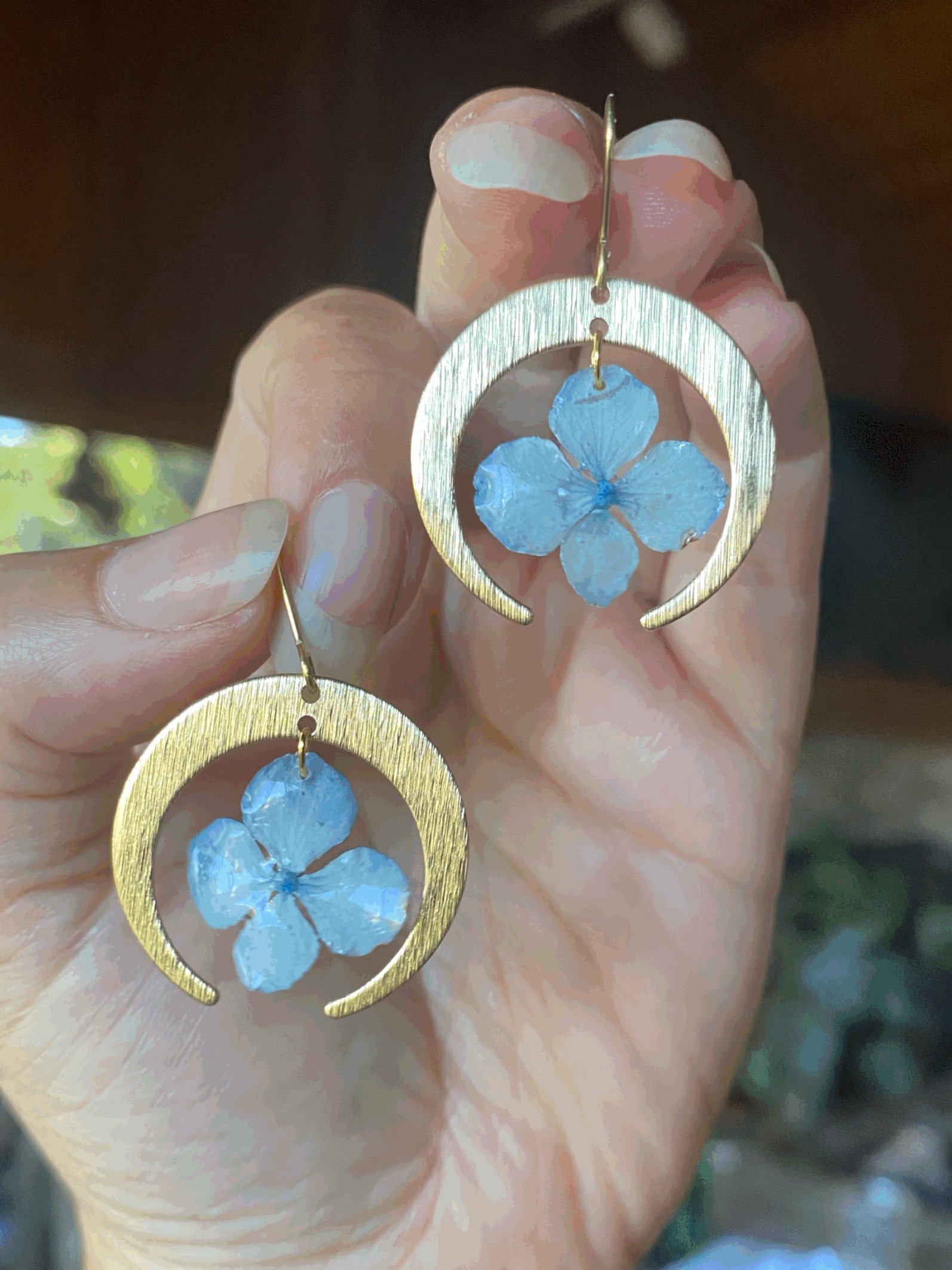 Hydrangea Moons