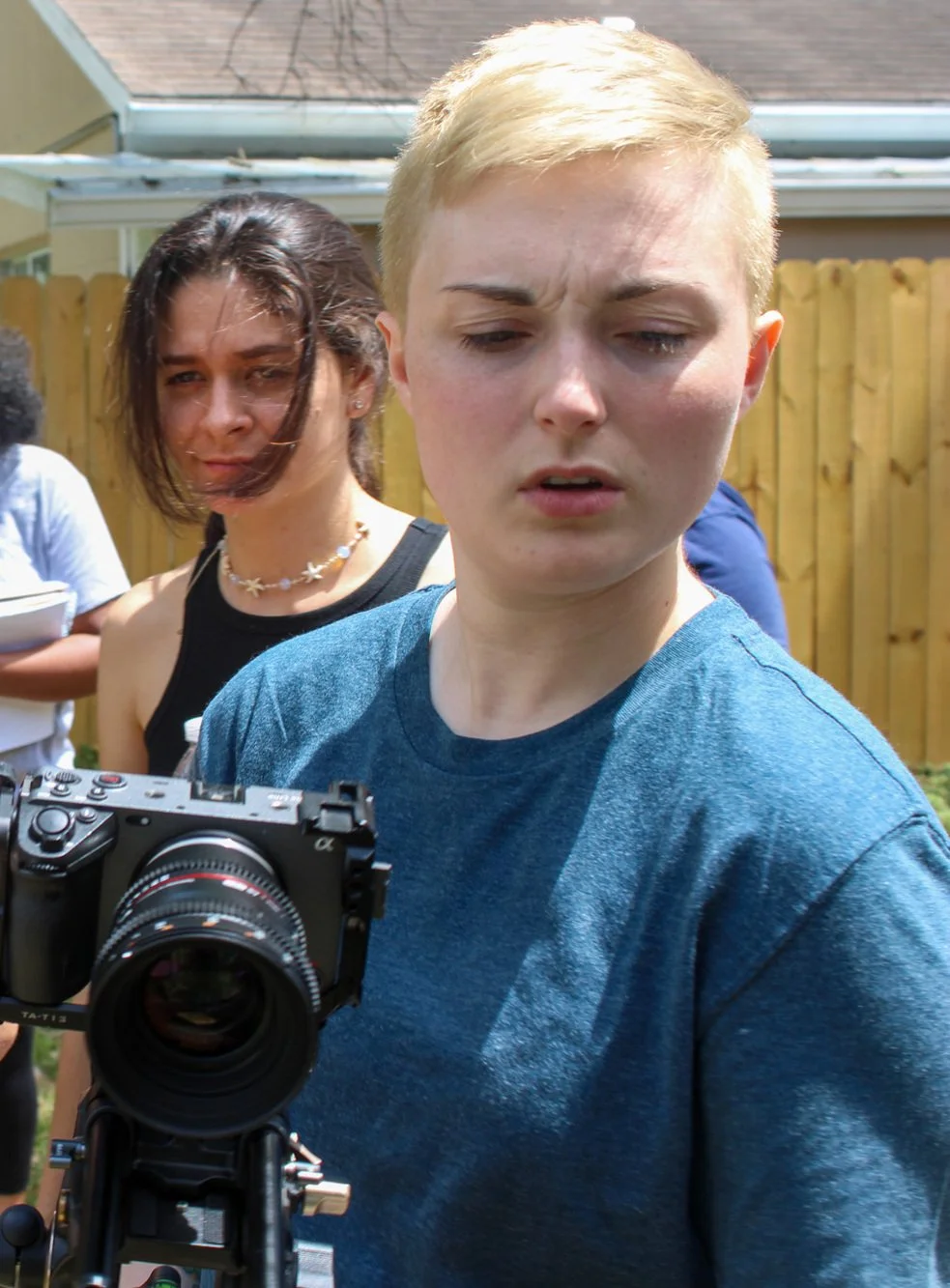 Crack in the Porcelain.JPG