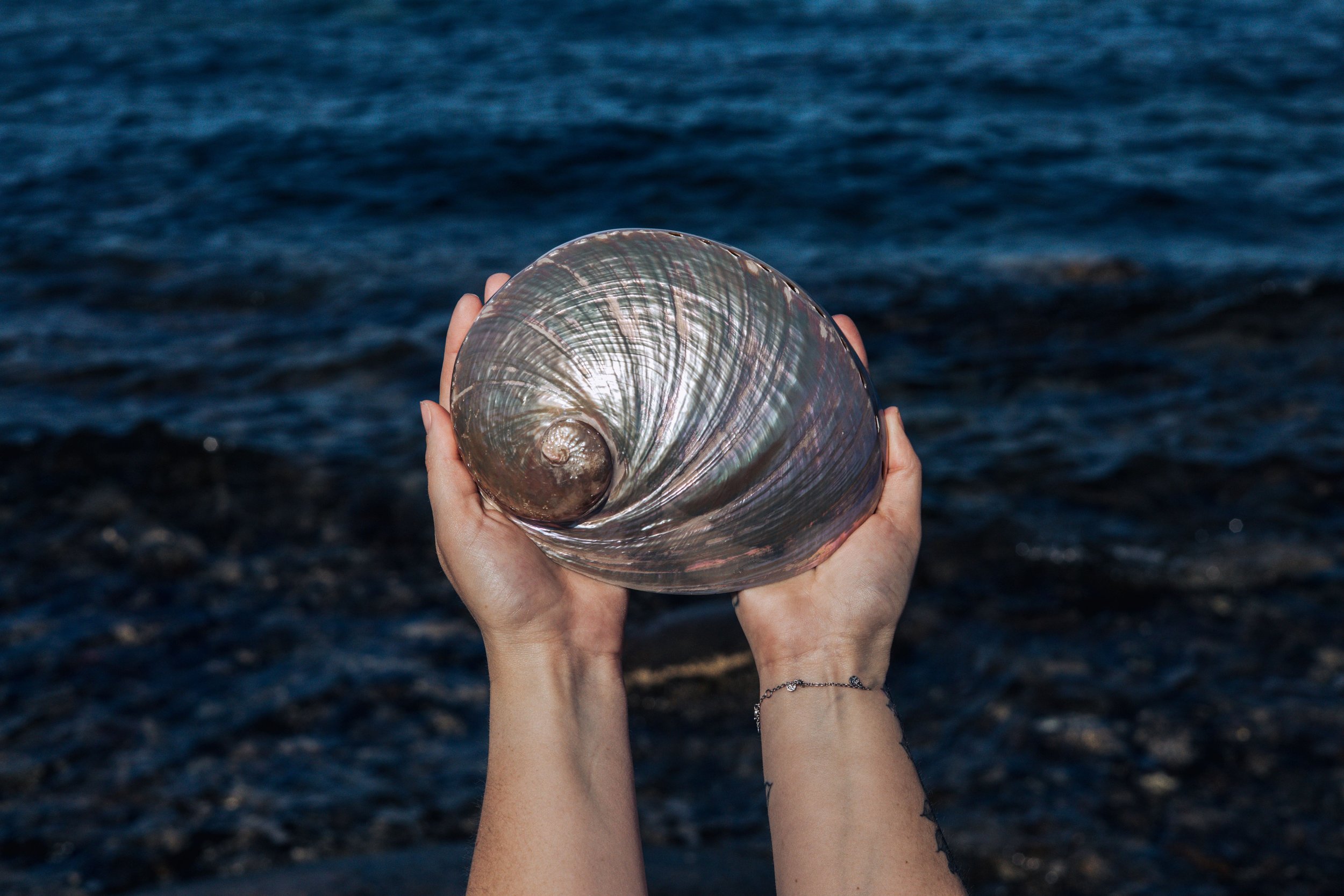 Polished Shell 5 - resizing.jpg