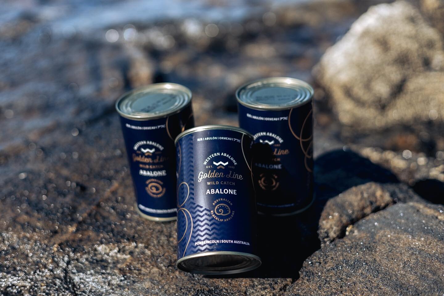 Did you know you can now shop our range of Golden Line canned wild-catch blacklip abalone?

All you need to do is follow the link in our bio to browse our range of can sizes 😊

#australianwildcatch #blacklipabalone #cannedabalone #westernabalone #au