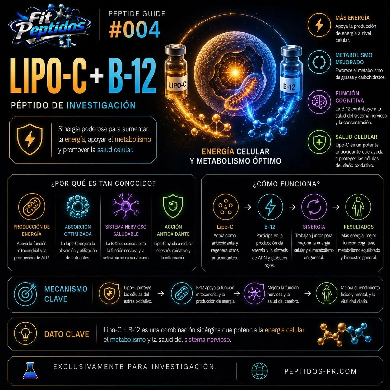 lipo.jpeg