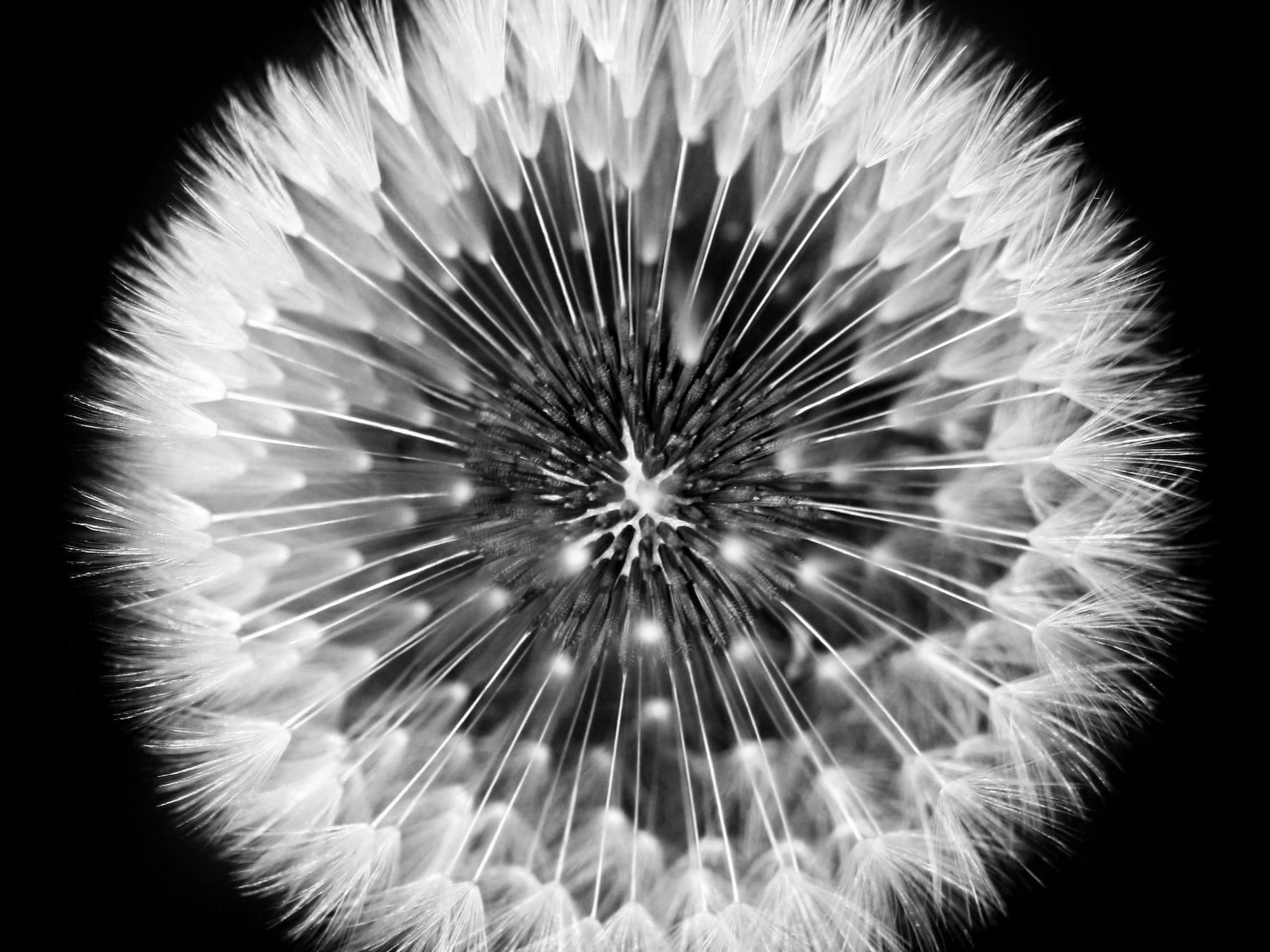 Loving Kindness Meditation