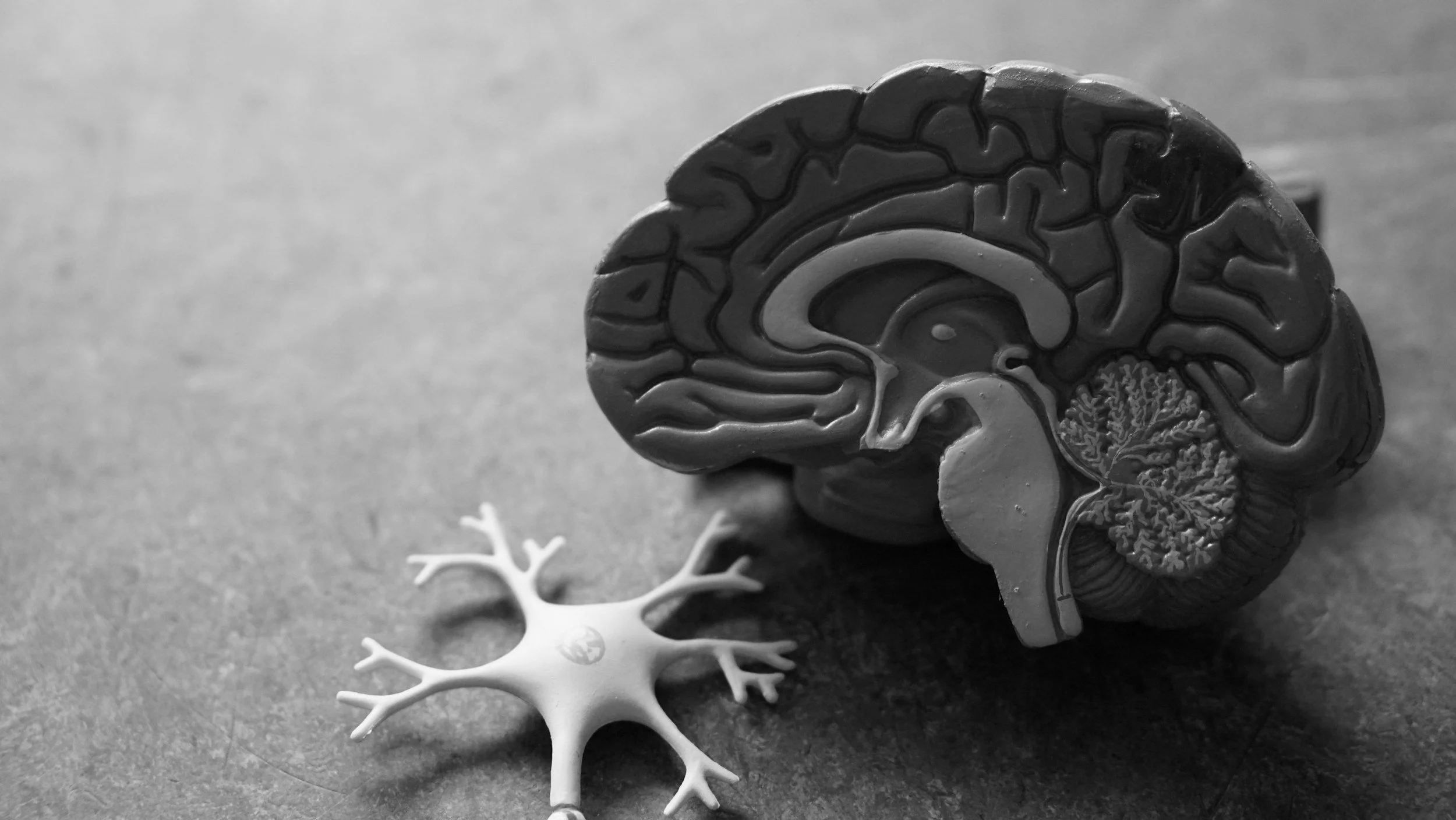 What Makes Brainspotting Different from Other Therapies, and How Can It Help You Heal Faster?