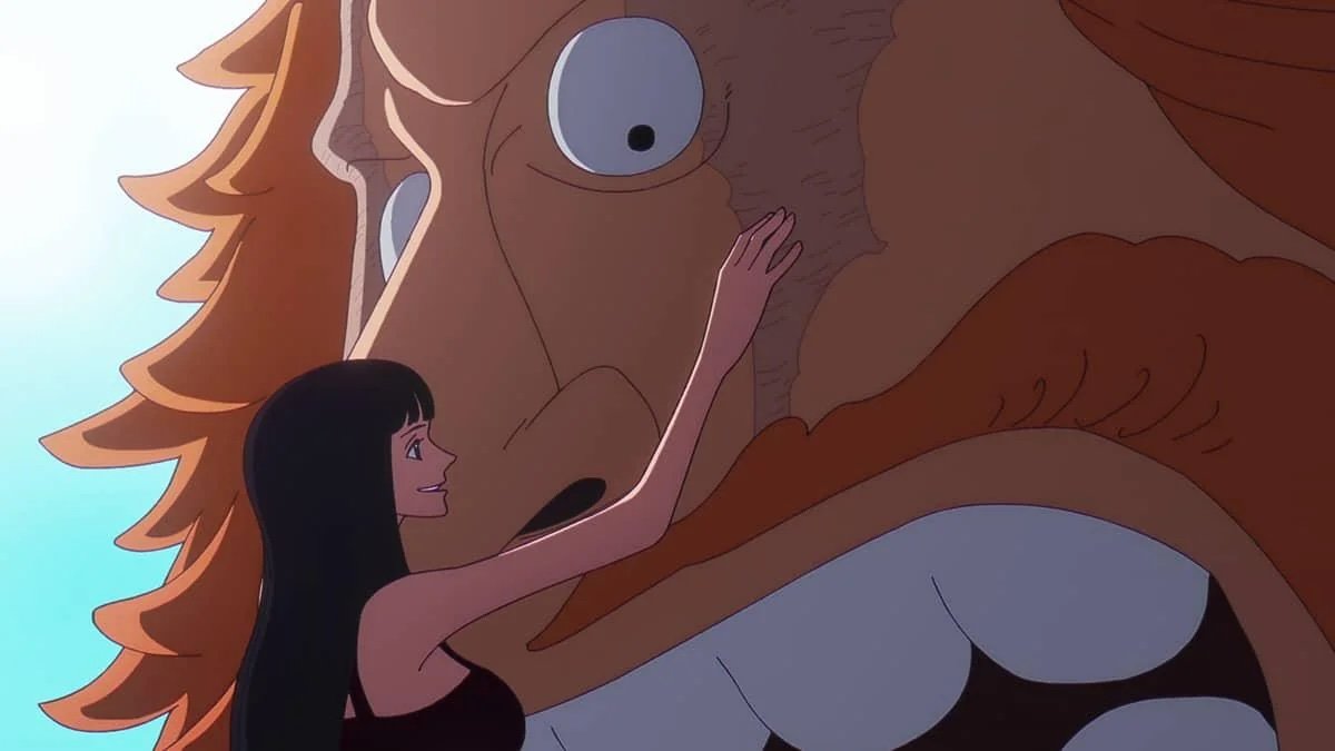 One Piece Episode 1163 Review