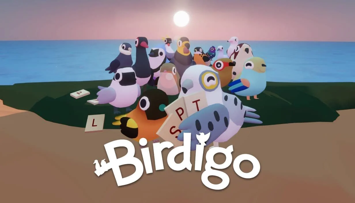 Birdigo Review