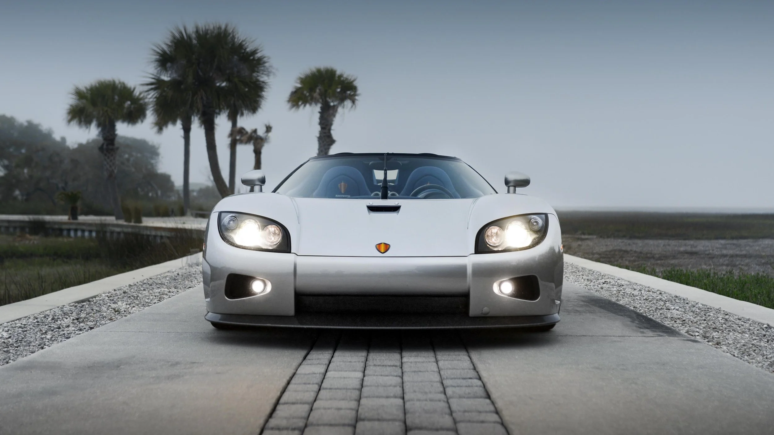 PHOTO-2026-01-02-14-58-54 2.jpg