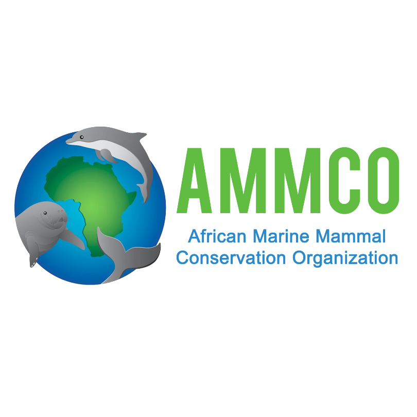 AMMCO Cameroon Logo_Transparent.png
