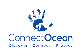 ConnectOcean Logo.png