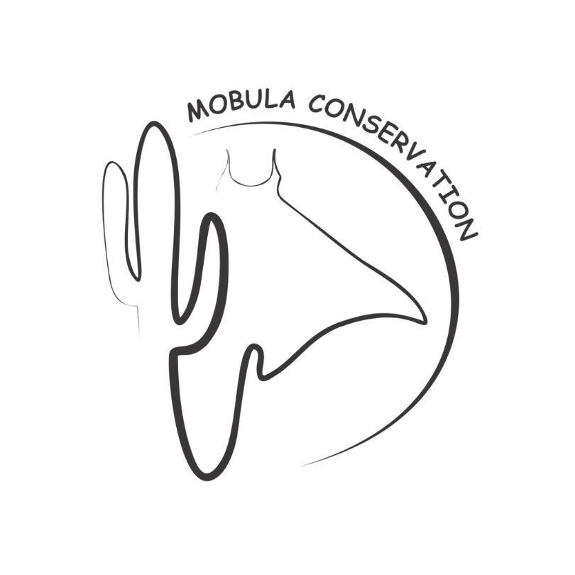 Mobula Conservation Logo Small.png