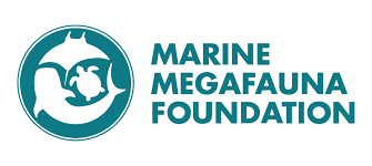 Marine Megafauna Foundation.png