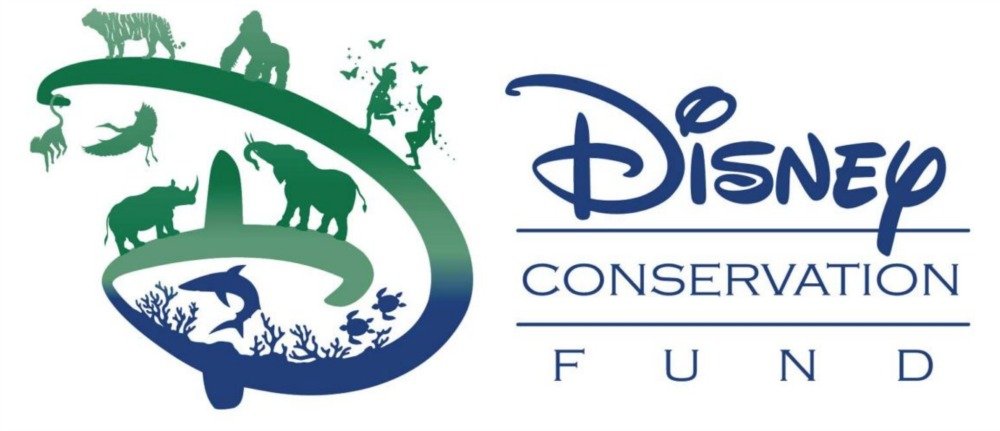 Disney Conservation Foundation.jpg