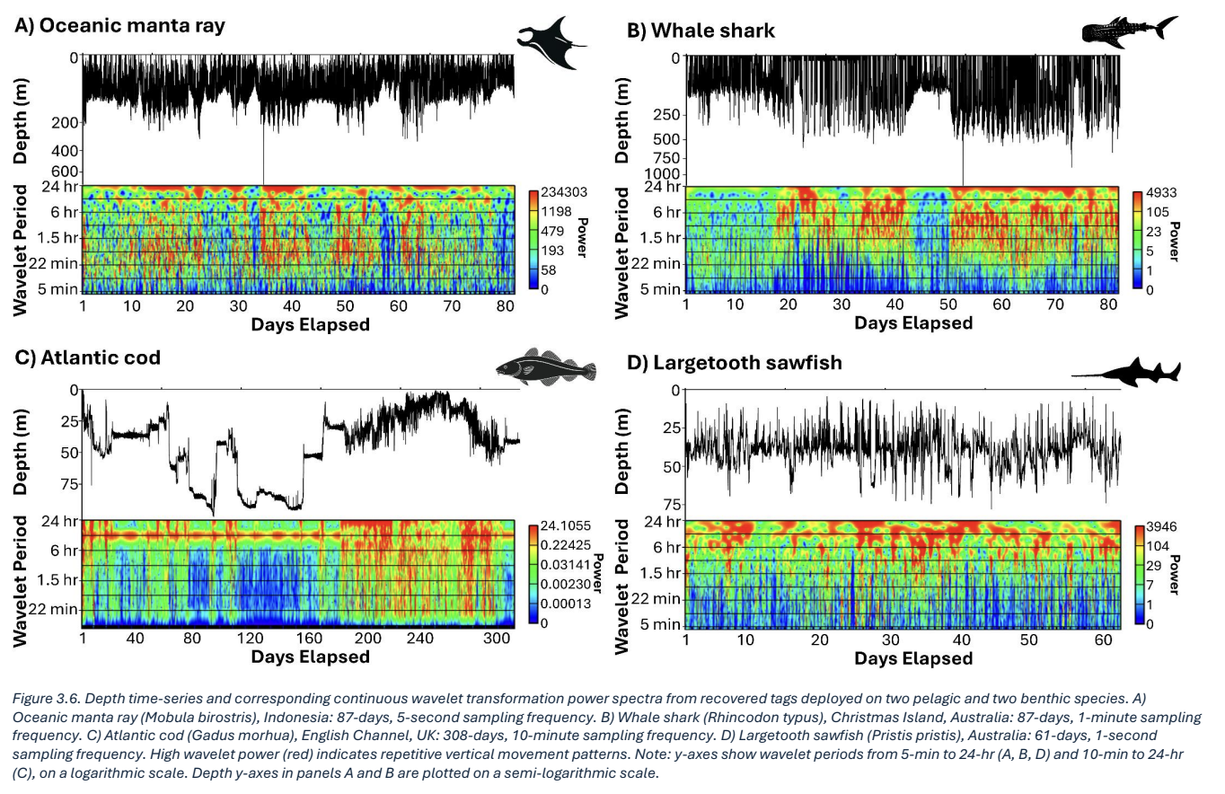 Calvin Baele PhD Figures_15.png