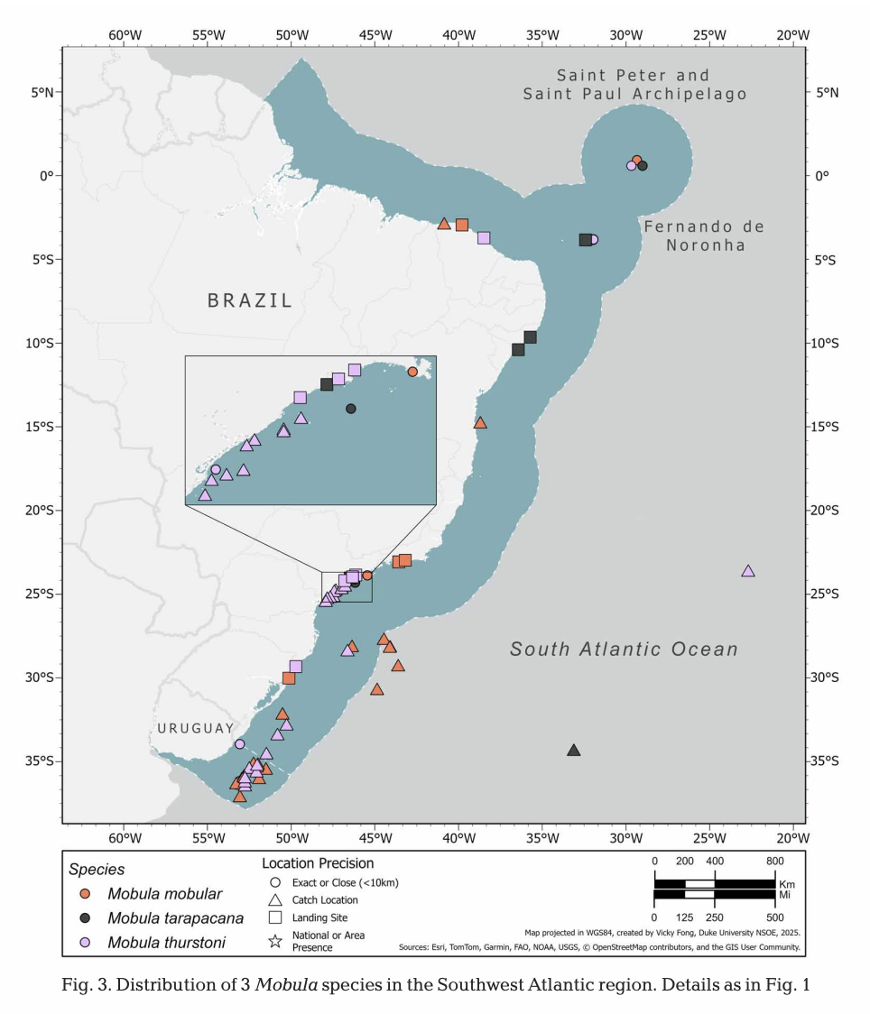Pate et al_20253.png