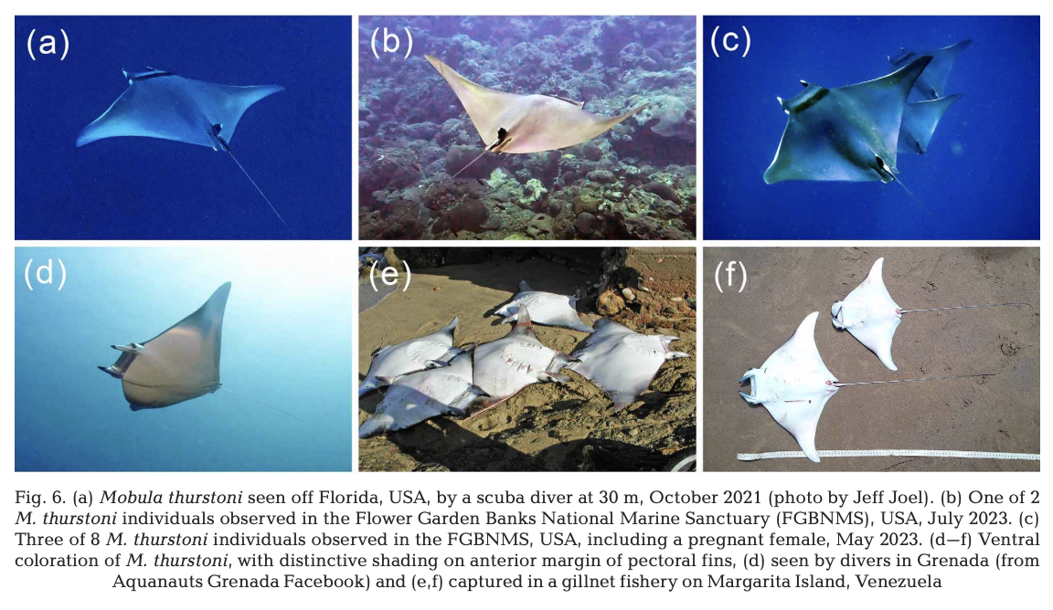 Pate et al_20256.png