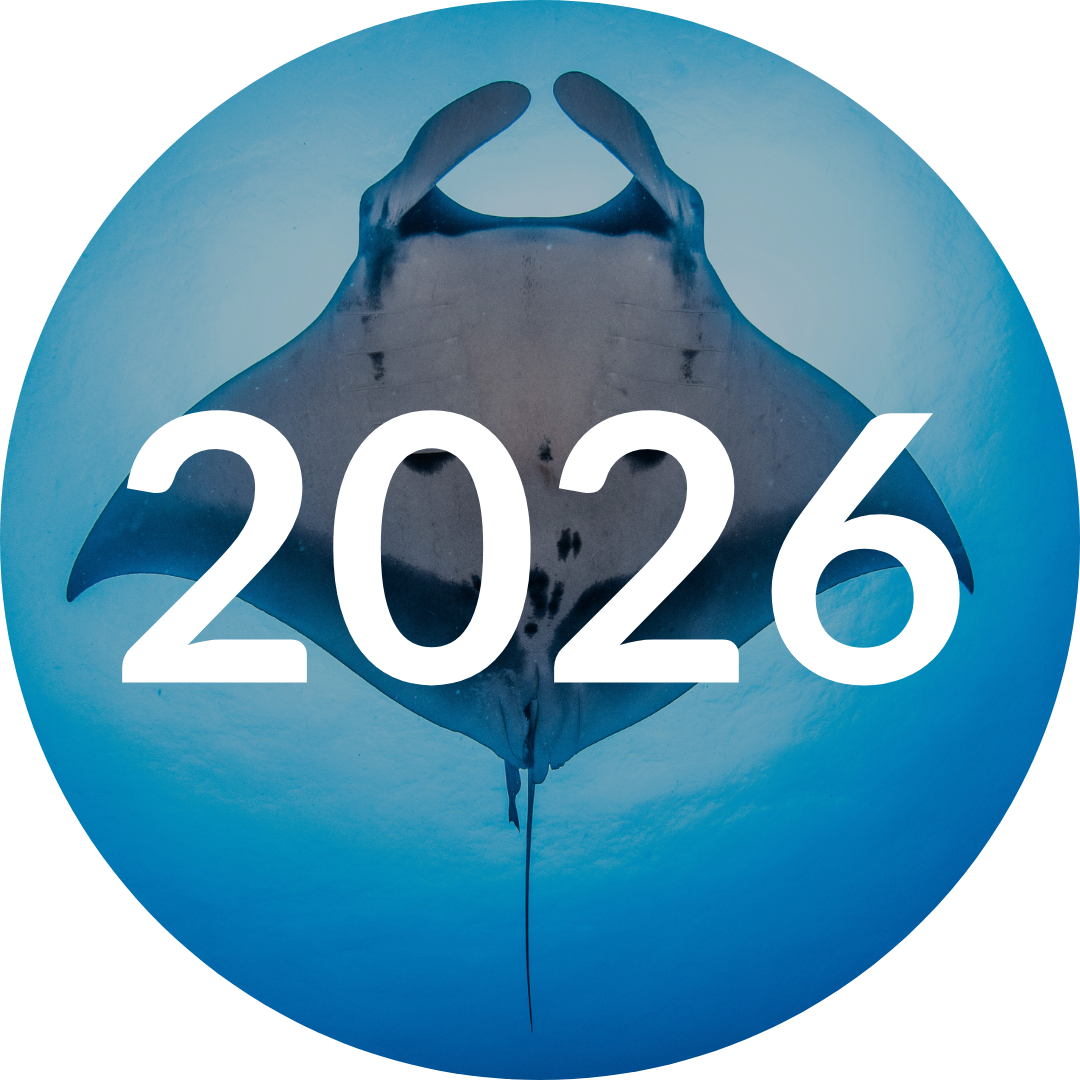 Research Portal Timeline Buttons (1).png