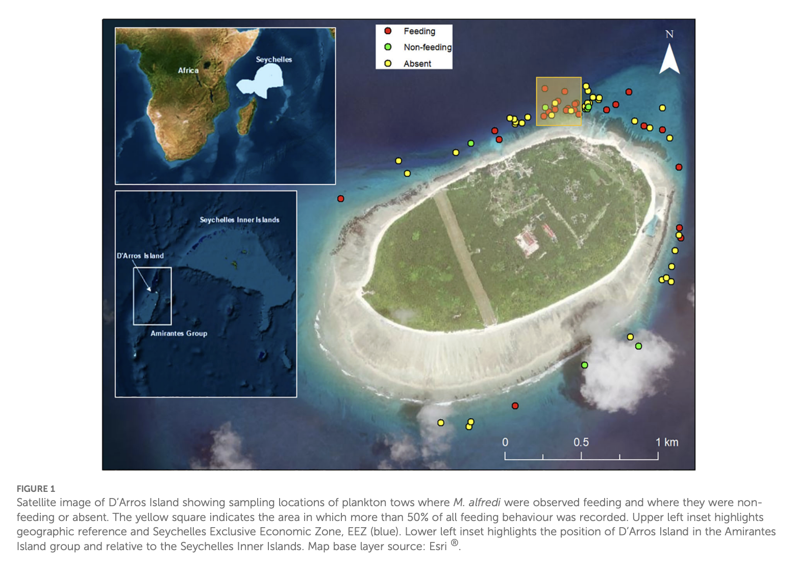 Pouponeau_et al_2026_Image1.png