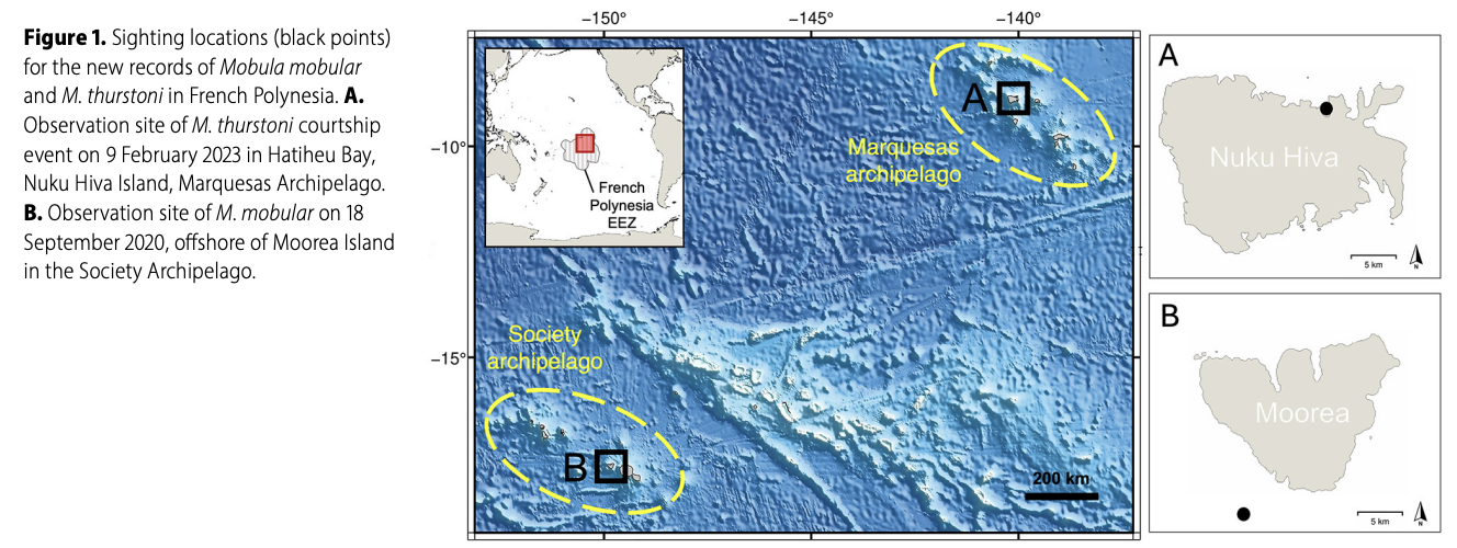 Carpentier_et al_2025_1.png