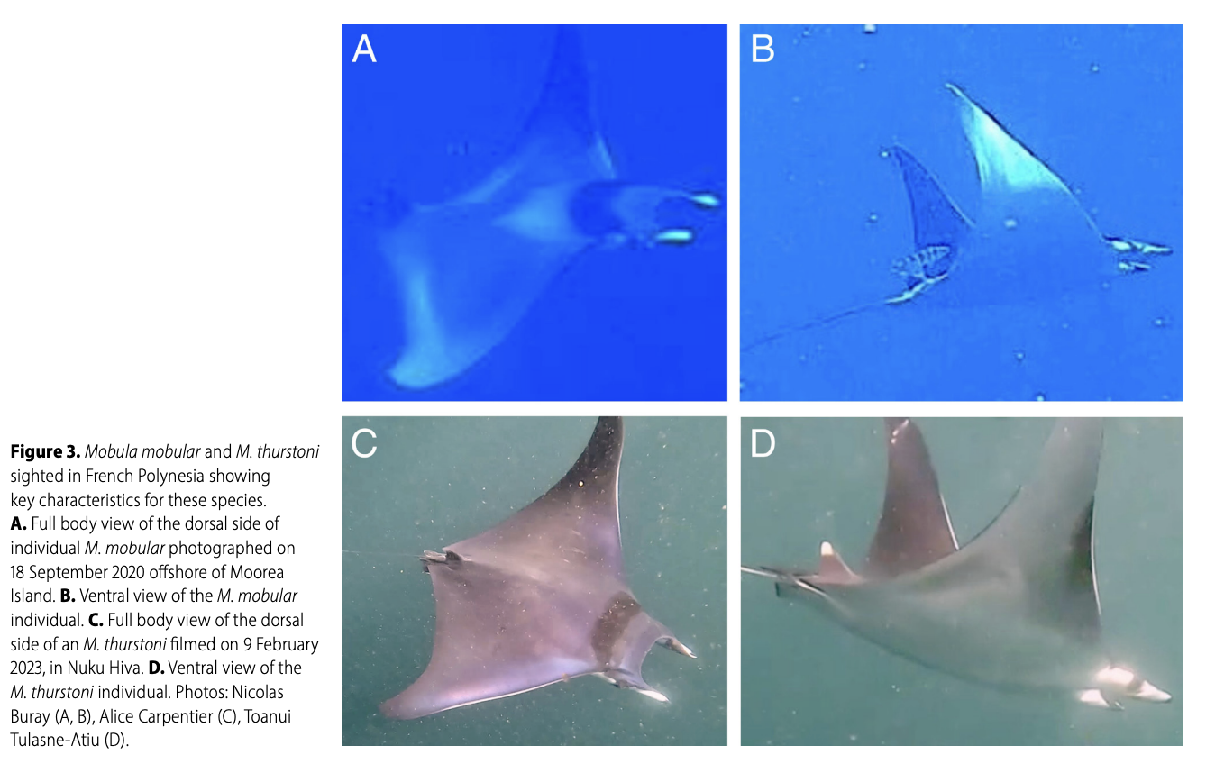 Carpentier_et al_2025_3.png