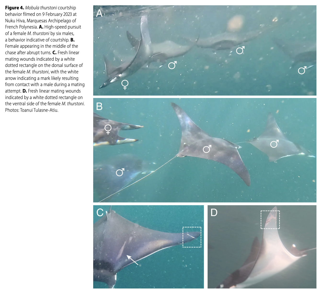 Carpentier_et al_2025_4.png