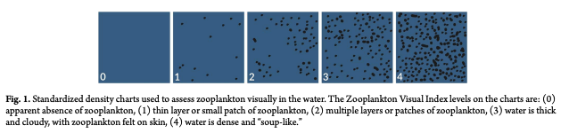 Moloney_et al_2026_1.png