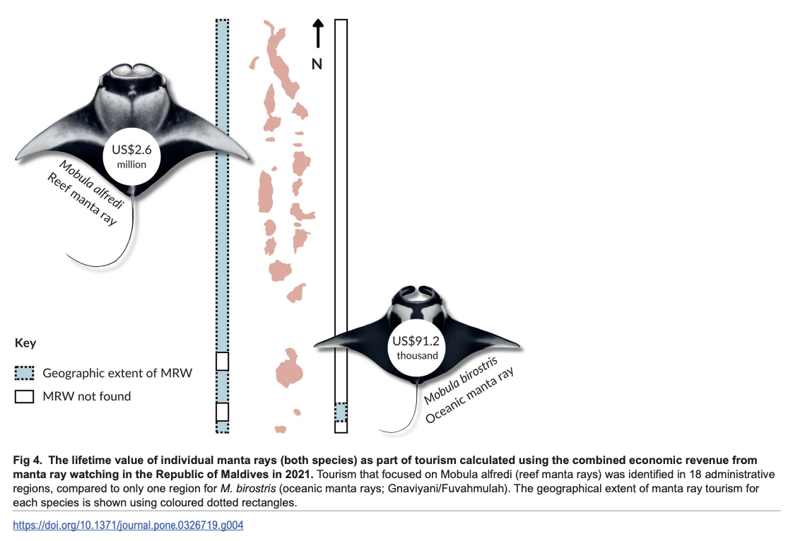 Moloney_et al_2026_1_4.png