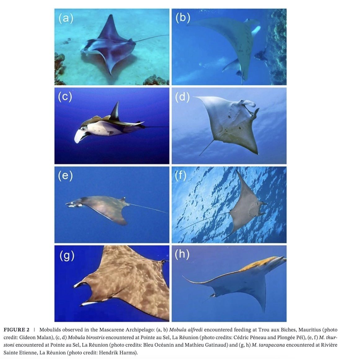 Harris_et al_2026_2.png