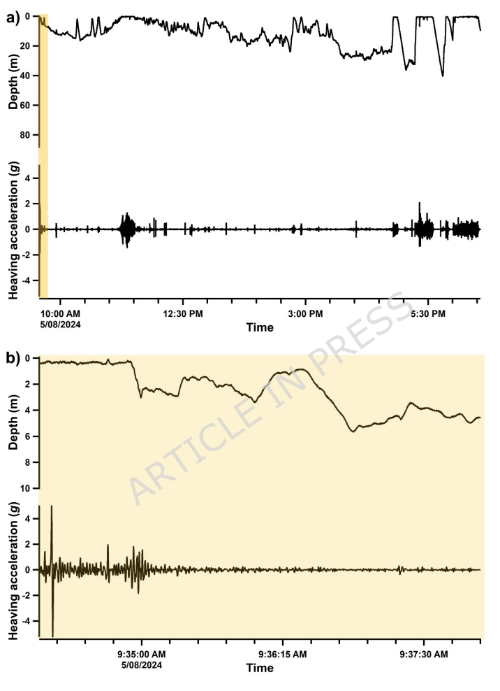 Newsine_et_al_2026_3.png
