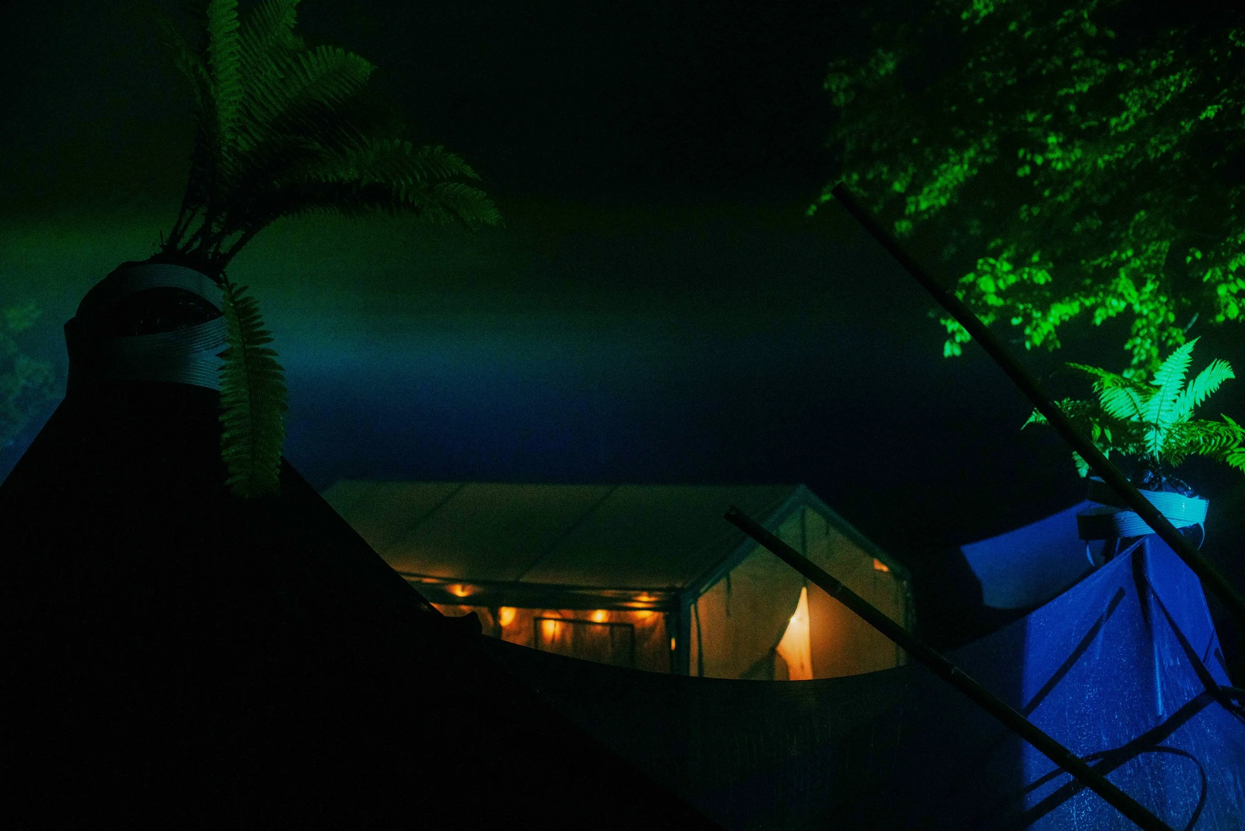 DSC00215.jpg